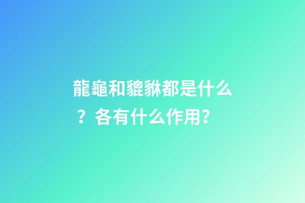 龍龜和貔貅都是什么？各有什么作用？